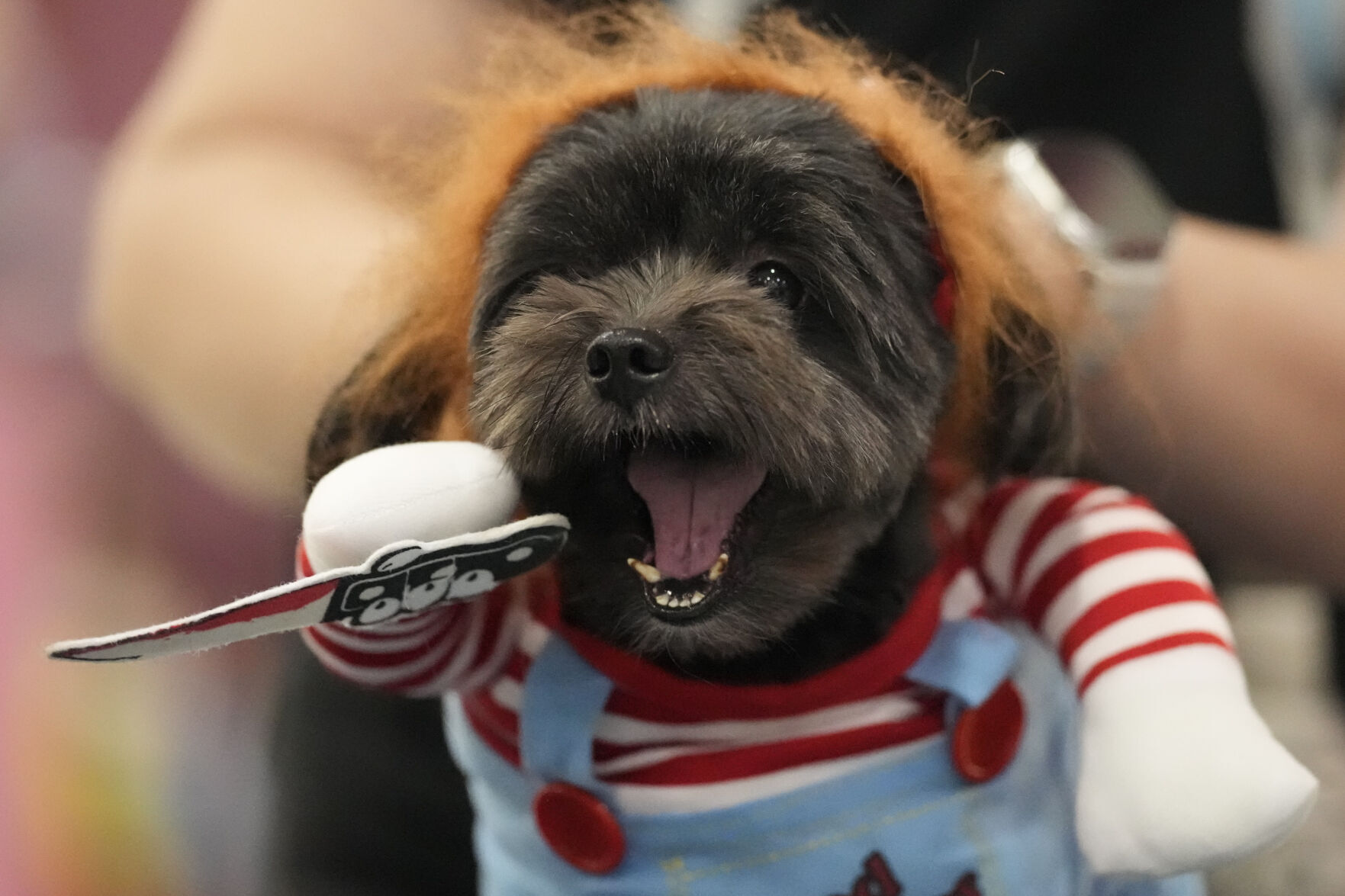 Philippines Halloween Animals
